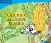 Capa do artigo Obhanana Benkawu Encane: Gr R - 3: Reader
