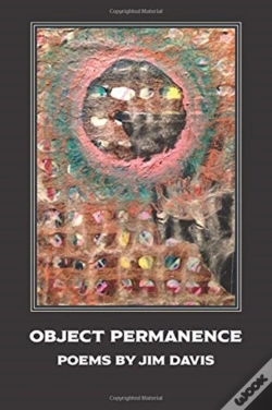 Capa do artigo Object Permanence