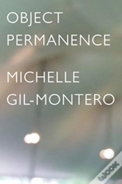 Capa do artigo Object Permanence