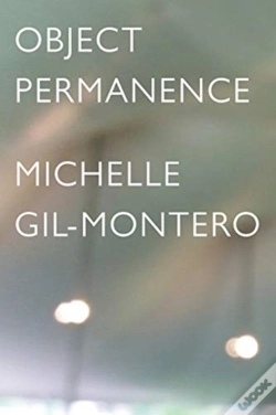 Capa do artigo Object Permanence