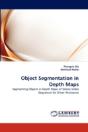 Object Segmentation In Depth Maps - Preview