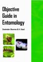 Objective Guide In Entomology - Preview