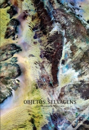 Capa do artigo Objectos Selvagens