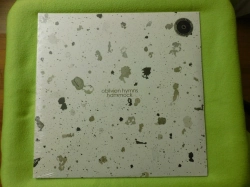 Capa do artigo Oblivion Hymns - Vinil