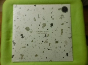 Capa do artigo Oblivion Hymns - Vinil