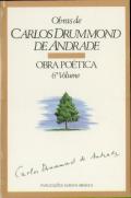 Obra Poética VI