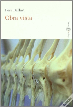 Capa do artigo Obra Vista