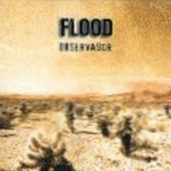Capa do artigo Observador - CD