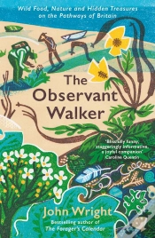 Capa do artigo Observant Walker