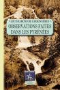 Observations Faites Dans Les Pyrénées - Preview