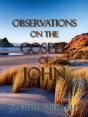 Observations On The Gospel Of John - Preview