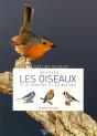 Observer Les Oiseaux À La Fenêtre Et Au Balcon - Preview
