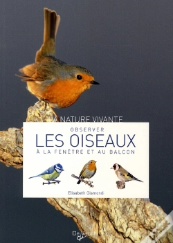 Capa do artigo Observer Les Oiseaux À La Fenêtre Et Au Balcon