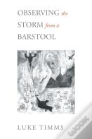 Observing The Storm From A Barstool