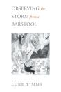 Observing The Storm From A Barstool - Preview
