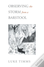 Observing The Storm From A Barstool