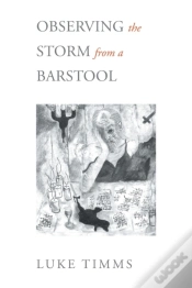 Capa do artigo Observing The Storm From A Barstool
