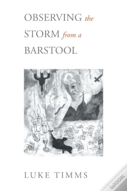 Capa do artigo Observing The Storm From A Barstool