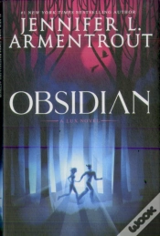 Capa do artigo Obsidian
