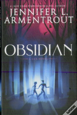 Capa do artigo Obsidian