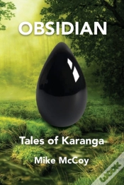 Capa do artigo Obsidian