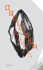 Capa do artigo Obsidiana