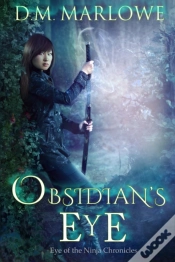 Capa do artigo Obsidian