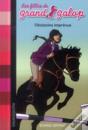 Capa do artigo Obstacles Imprevus Ned8