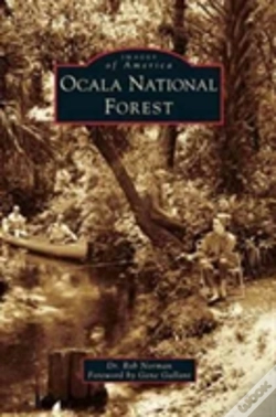Capa do artigo Ocala National Forest
