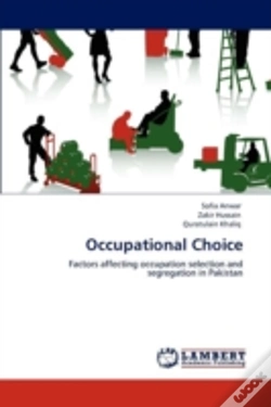 Capa do artigo Occupational Choice
