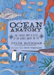 Capa do artigo Ocean Anatomy