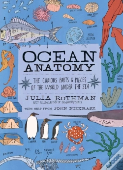 Capa do artigo Ocean Anatomy