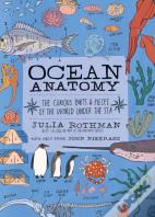 Ocean Anatomy