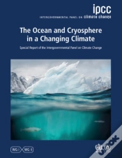 Capa do artigo Ocean And Cryosphere In A Changing Climate