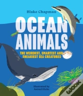 Ocean Animals