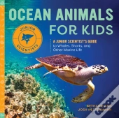 Ocean Animals For Kids