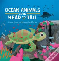 Ocean Animals From Head To Tail