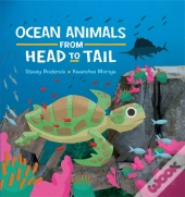 Ocean Animals From Head To Tail