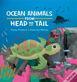 Capa do artigo Ocean Animals From Head To Tail