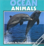 Ocean Animals