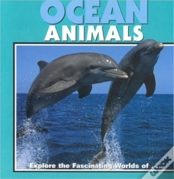 Capa do artigo Ocean Animals