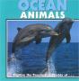 Ocean Animals - Preview