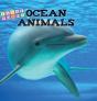 Ocean Animals - Preview
