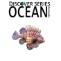 Ocean Animals - Preview