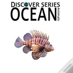 Capa do artigo Ocean Animals