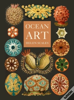 Capa do artigo Ocean Art