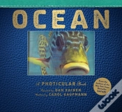 Capa do artigo Ocean