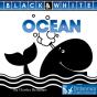 Ocean - Preview