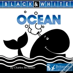 Capa do artigo Ocean