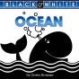Ocean - Preview